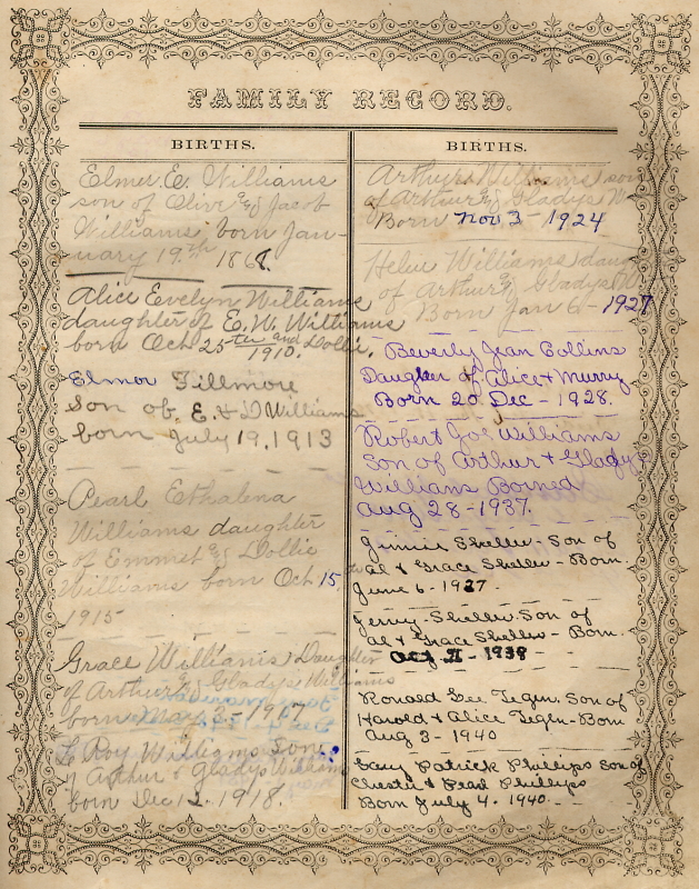 sample family history books